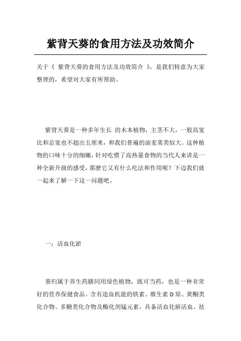 紫背天葵的食用方法及功效简介