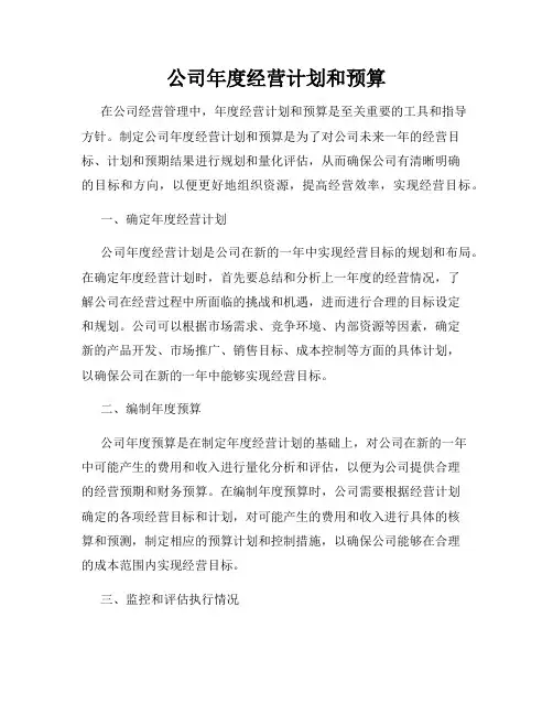 公司年度经营计划和预算