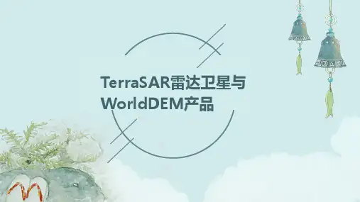 terrasar雷达卫星和worlddem产品