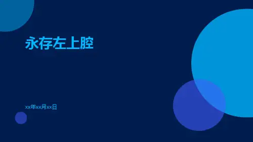 (医学课件)永存左上腔