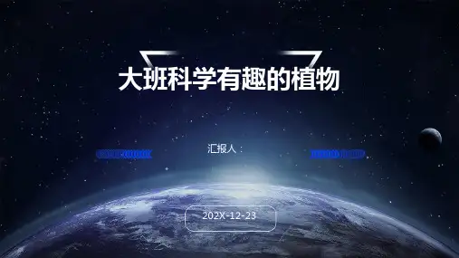 大班科学有趣的植物