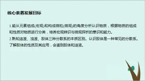 人教版化学必修第一册第一章第一节第一课时物质的分类课件