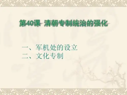 岳麓版七年级历史下册课件：第40课 清朝专制统治的强化(共19张PPT)