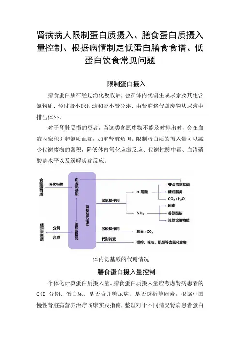 肾病病人限制蛋白质摄入、膳食蛋白质摄入量控制、根据病情制定低蛋白膳食食谱、低蛋白饮食常见问题