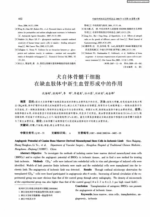 犬自体骨髓干细胞在缺血肢体中新生血管形成中的作用