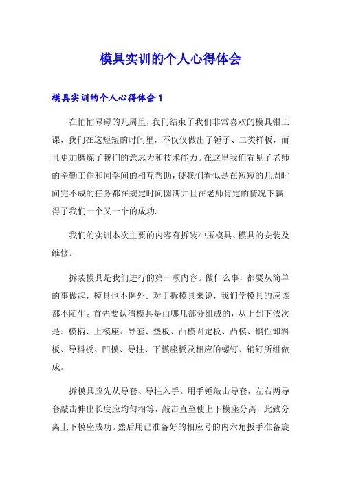 模具实训的个人心得体会