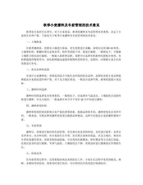 秋季小麦播种及冬前管理的技术意见