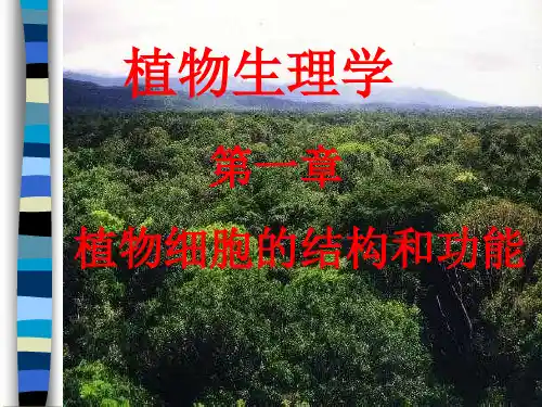 第一章植物细胞的结构和功能