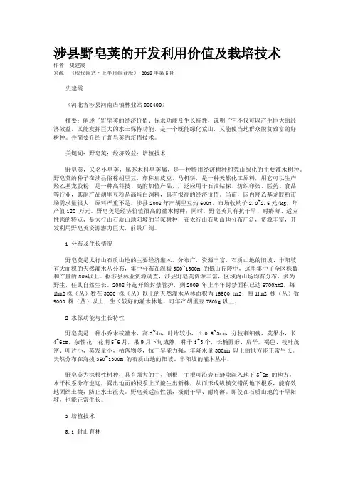 涉县野皂荚的开发利用价值及栽培技术