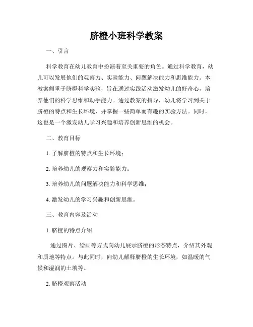 脐橙小班科学教案