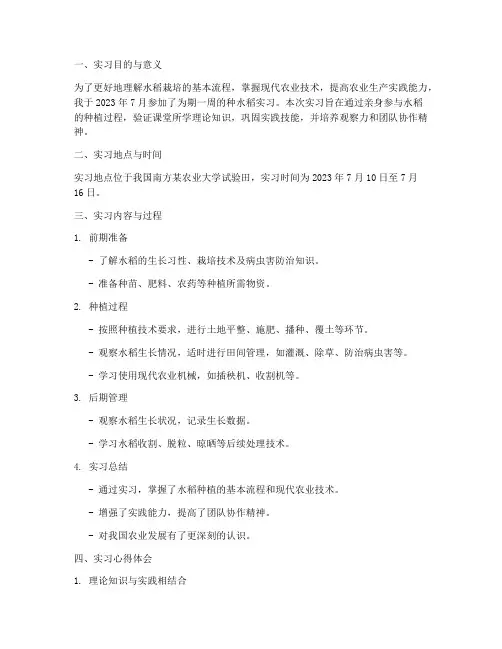 种水稻实习报告