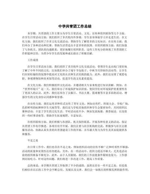 中学共青团工作总结