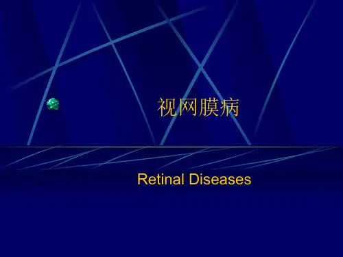 视网膜病PPT课件