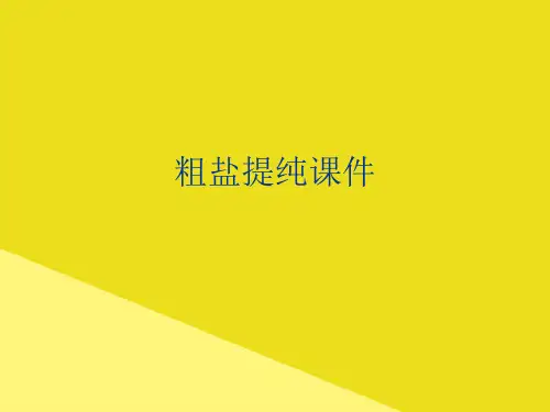 粗盐提纯课件PPT资料(正式版)