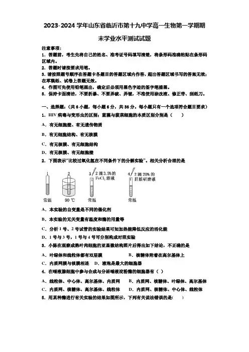 2023-2024学年山东省临沂市第十九中学高一生物第一学期期末学业水平测试试题含解析