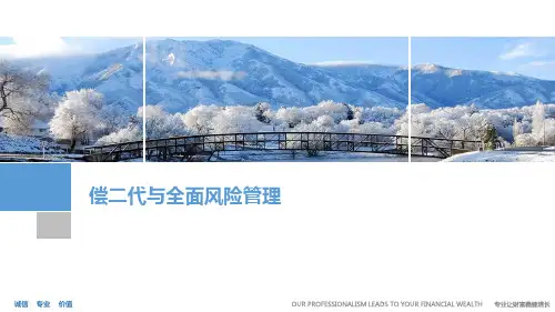 偿二代与全面风险管理