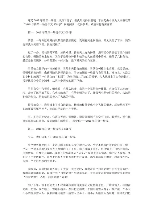 2018年的第一场雪作文300字