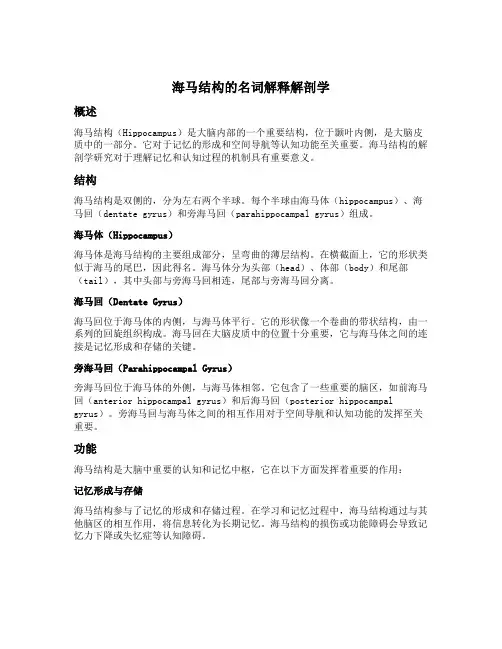 海马结构的名词解释解剖学