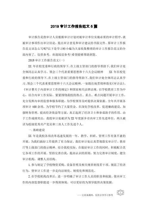 2019审计工作报告范文5篇