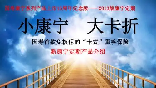2013版中国人寿新康宁定期产品介绍