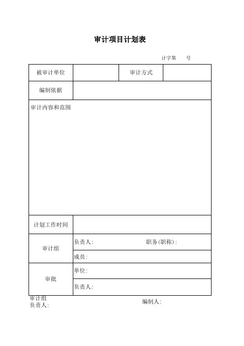 审计报告表格
