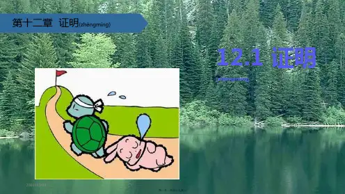 七年级数学下册第12章证明12.1证明