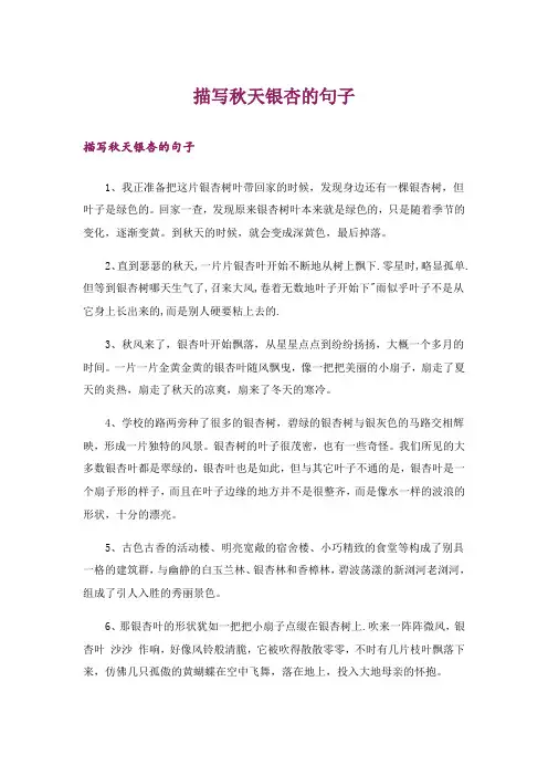 描写秋天银杏的句子