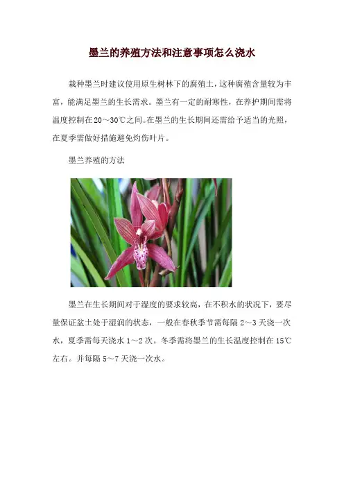 墨兰的养殖方法和注意事项怎么浇水
