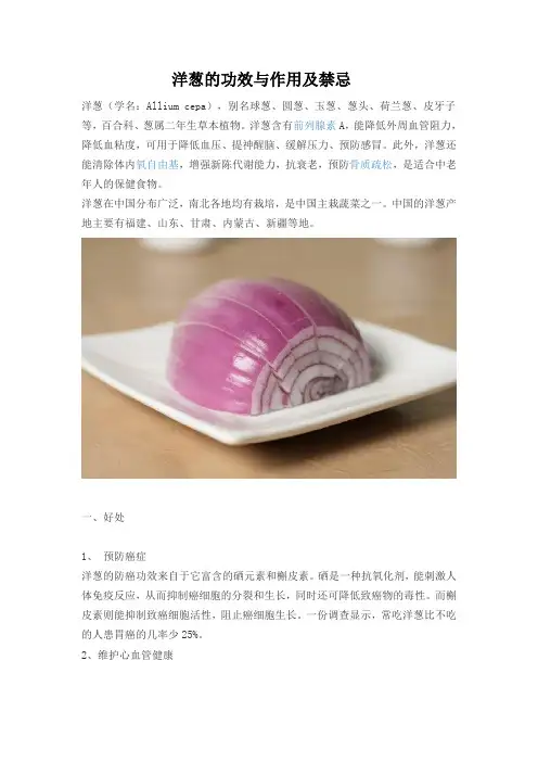 洋葱的功效与作用及禁忌