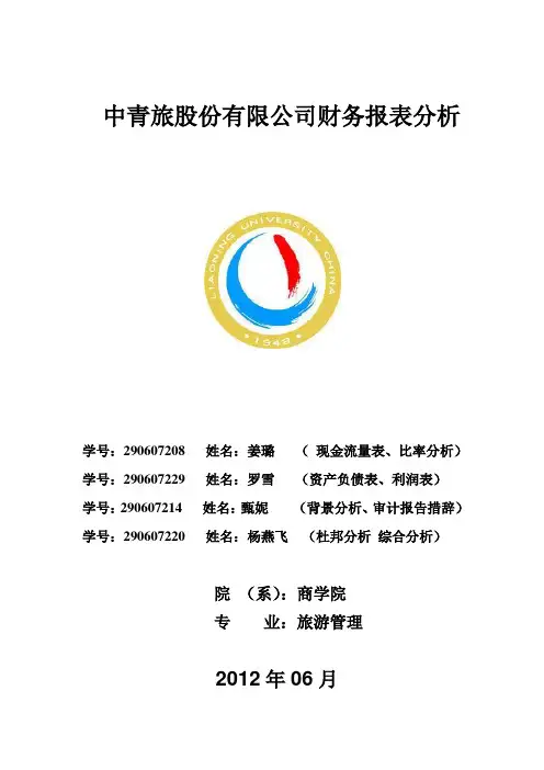 中青旅财务报表分析