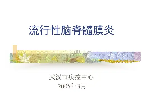 流脑
