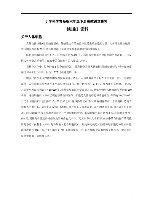 小学科学青岛版六年级下册高效课堂资料《细胞》资料：关于人体细胞
