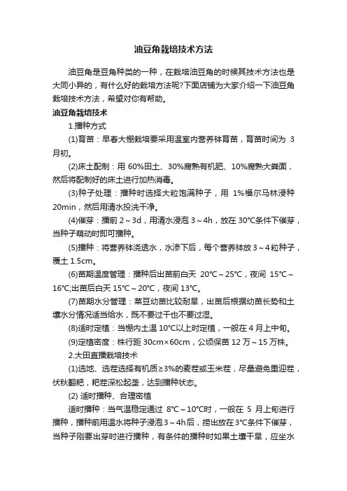 油豆角栽培技术方法
