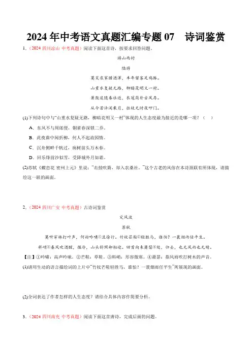 2024年中考语文真题汇编专题07  诗词鉴赏(学生版)