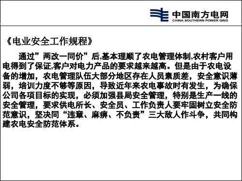 电力安全工作规程线路部分 中国南方电网
