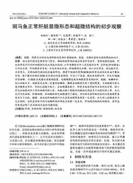 斑马鱼正常肝脏显微形态和超微结构的初步观察