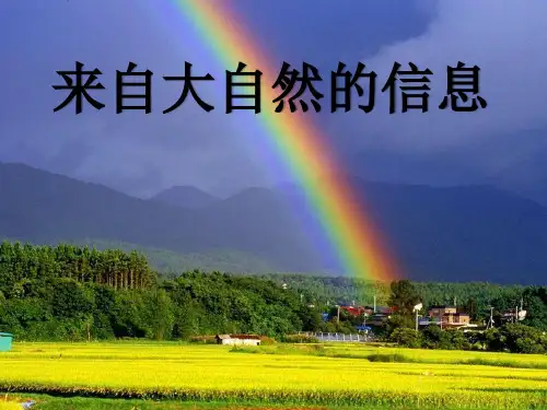 青岛版小学科学六年级下册《来自大自然的信息》课件