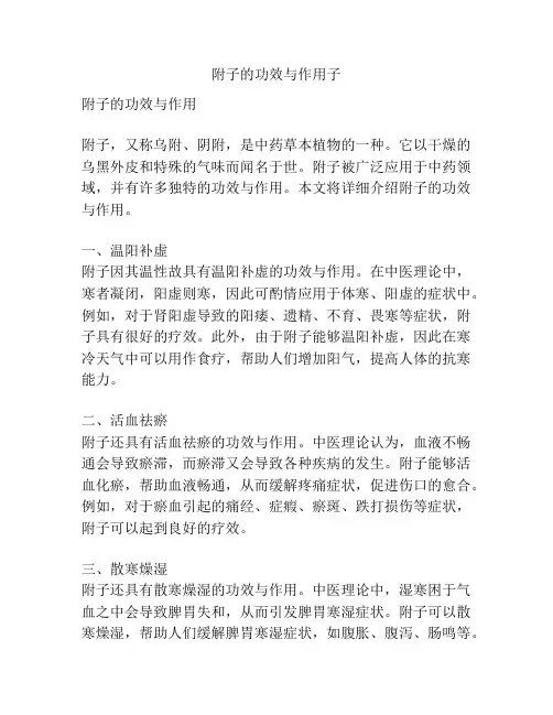 附子的功效与作用子