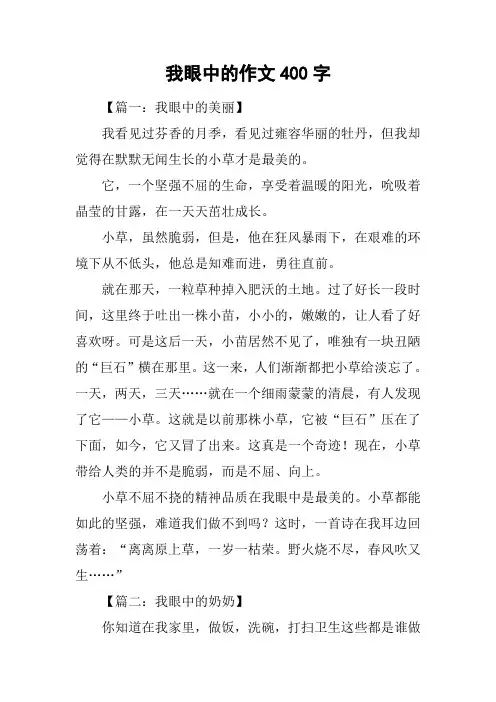 我眼中的作文400字