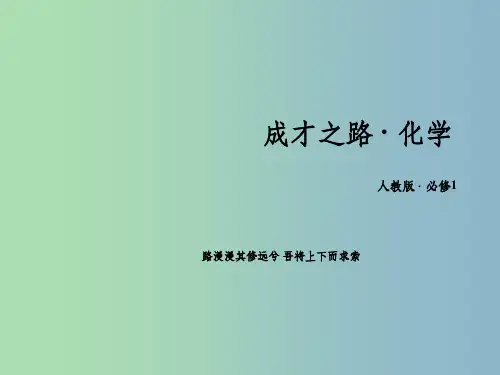 高中化学 第二章 第2节 第2课时离子反应及其发生的条件课件 新人教版必修1
