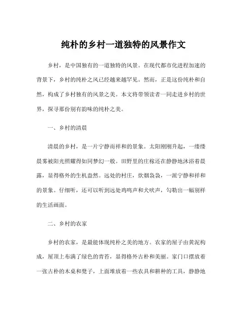 纯朴的乡村一道独特的风景作文