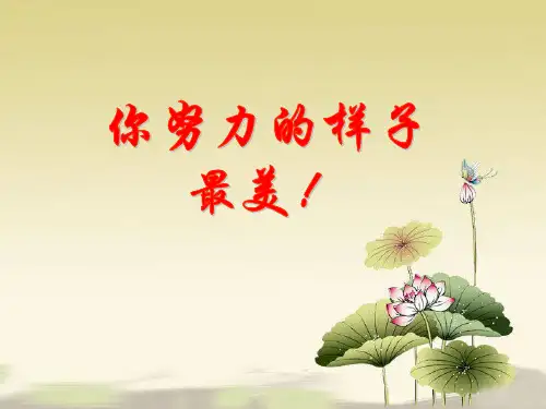 《辨析病句的方法》PPT课件(共40张)