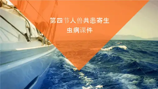 第四节人兽共患寄生虫病课件