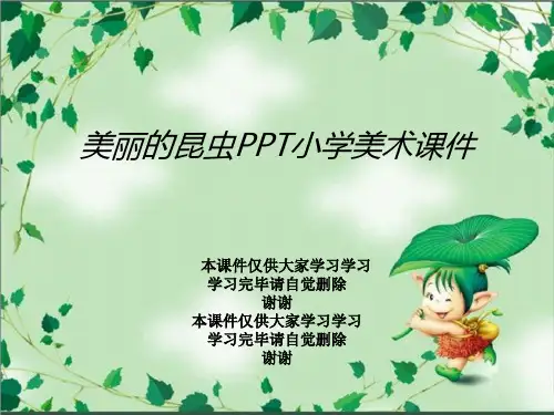 美丽的昆虫PPT小学美术课件
