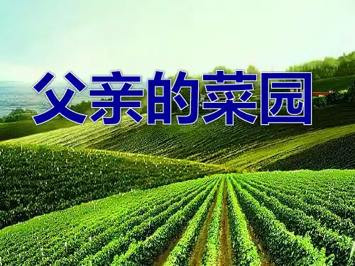 人教版小学语文四年级下册《父亲的菜园》PPT课件3