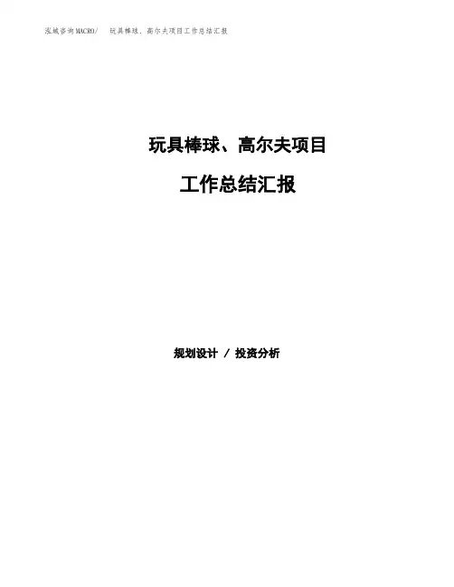 玩具棒球、高尔夫项目工作总结汇报