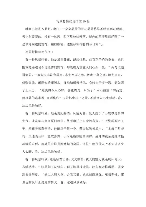 写景抒情议论作文10篇