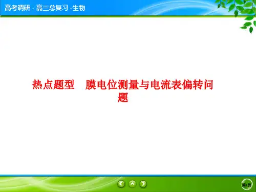 2020年高考生物(人教版)热点题型 膜电位测量与电流表偏转问题