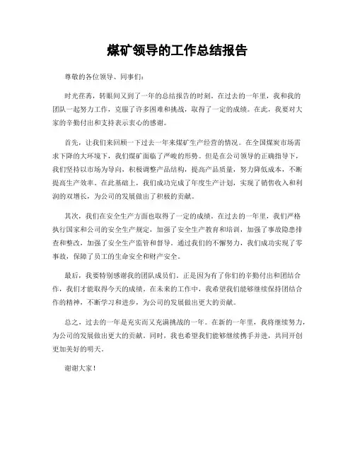 煤矿领导的工作总结报告