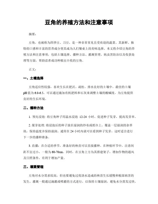 豆角的养殖方法和注意事项